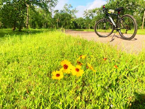 biking